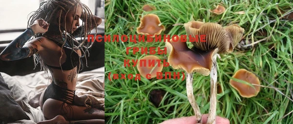 мет Корсаков