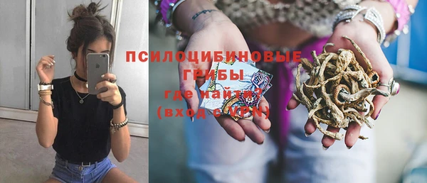 мдпв Кукмор